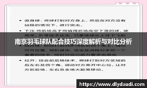 南京羽毛球队配合技巧深度解析与对比分析